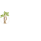 Орторехаб